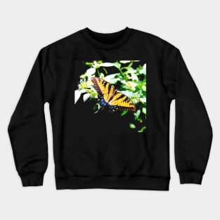 Eastern Tiger Swallowtail Crewneck Sweatshirt